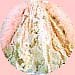 cendrillon